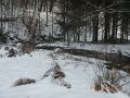 mlk and misc 01-20-2014 023